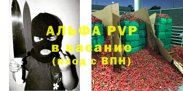 амф Горняк