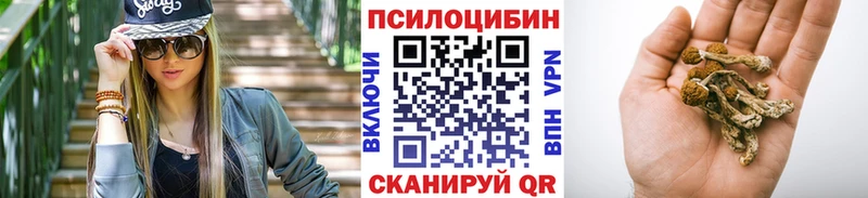 Галлюциногенные грибы прущие грибы  Зуевка 